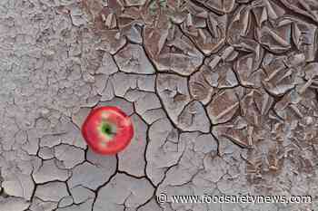 Sweden assesses impact of climate change on food safety - Food Safety News