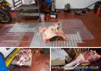 Gent Jakupi sentenced for 39 food hygiene offences - Salisbury Journal