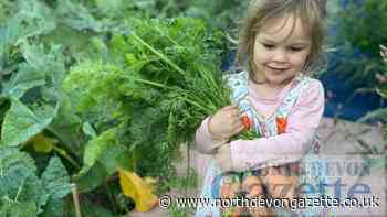Have we lost our connection to the food we eat? - Daisy Snow - North Devon Gazette