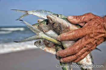 'Health-giving' fish waste offers food formulators cost and sustainability benefits - FoodNavigator.com