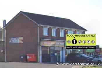 Flies seen flying around takeaway's kitchen during food hygiene inspection - Dorset Echo