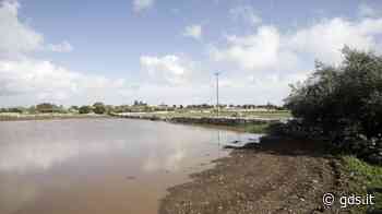 Campi allagati, impossibile seminare nelle province di Palermo, Agrigento ed Enna - Giornale di Sicilia