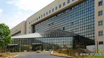 Vaccini: nuovi orari per hub ospedale Enna e della provincia - Agenzia ANSA