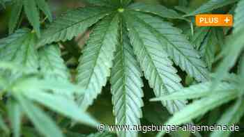 Legalisierung: Es ist Zeit für einen neuen Umgang mit Cannabis