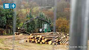 Fällaktion am Ahlenberg in Herdecke sorgt für Aufregung - Westfalenpost