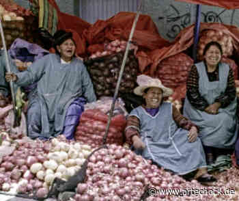 70. IFF Mannheim : POINT OF VIEW : artechock - artechock film