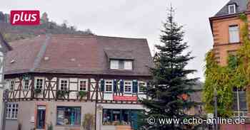 Heppenheim: Zoff um den Christbaum auf dem Marktplatz - Echo Online