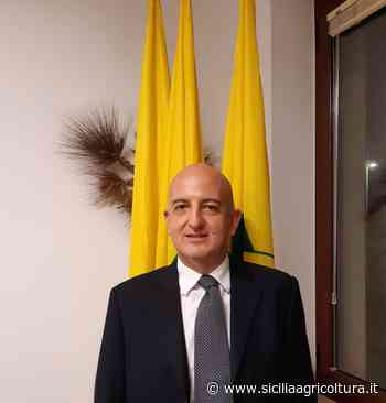 Gerardo Forina Rampolla nuovo direttore di Coldiretti Enna - Sicilia Agricoltura - Sicilia Agricoltura