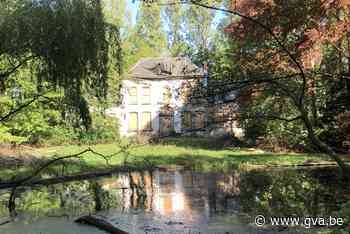 Partij brandhout van Het Hof gaat onder de hamer - Gazet van Antwerpen