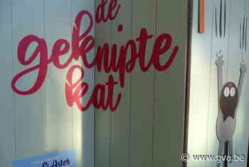 Expo 'De geknipte kat' staat opgesteld in Glazenstraat - Gazet van Antwerpen