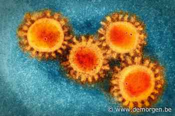 Live - Nog eens twee besmettingen met omikronvariant ontdekt in België