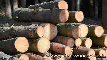 Forst in Schiltach - Lob für Revierleiter Holger Wöhrle – Wald erholt sich - Schwarzwälder Bote