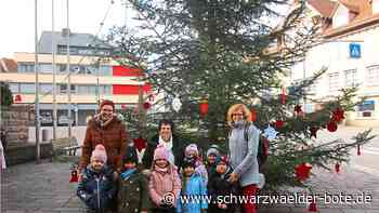 Weihnachten in Haiterbach: Kleine Helfer schmücken riesigen Baum