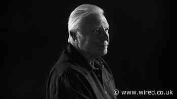 David Attenborough’s Unending Mission to Save Our Planet