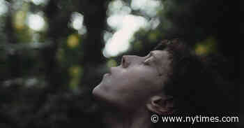 ‘Wolf’ Review: Animal Behavior