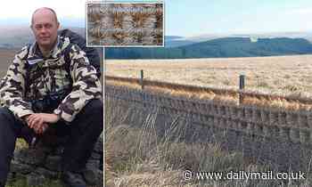 Storm Arwen masterpiece: Winds blast moorland grasses so hard they WEAVE around a 130m fence