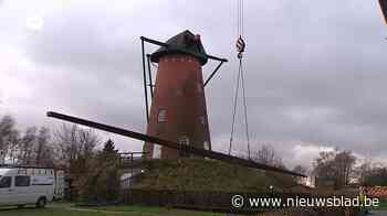 Molenwieken van meer dan 25 meter van de Oelegemse molen afgehaald