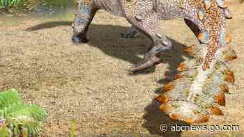 New dinosaur species from Chile had a unique slashing tail