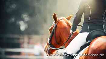 Pferde in Schömberg: Droht Konflikt zwischen Fußgängern und Reitern?