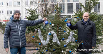 SZ/BZ: Sindelfingen: Wintertannen laden zum Schmücken ein - Sindelfinger Zeitung / Böblinger Zeitung