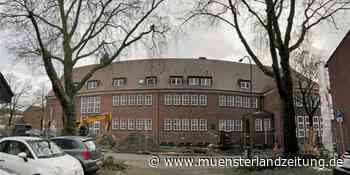 Ein Schadensfall und ein Verdachtsfall: Fällung zweier Platanen besiegelt | Stadtlohn - Münsterland Zeitung