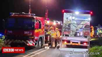 Thirteen people injured as bus leaves road on Isle of Wight