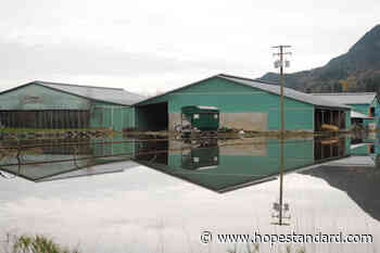 Chilliwack rainfall total for November hit 'all-time high' of 615 mm – Hope Standard - Hope Standard