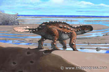 New dinosaur species from Chile had a unique slashing tail – Chilliwack Progress - Chilliwack Progress