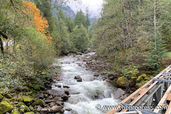 New evacuation alert for dozens of Hope homes – Chilliwack Progress - Chilliwack Progress