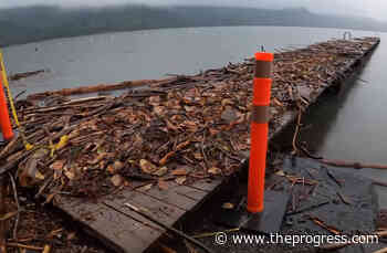 Video shows Cultus Lake beach buried under flood debris – Chilliwack Progress - Chilliwack Progress