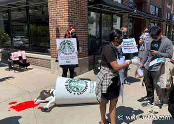 Gory PETA stunt at Buffalo Starbucks criticizes upcharge for non-dairy milks