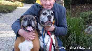 Nelson man leaves $3.6m to St John and Rescue Helicopter Trust - New Zealand Herald