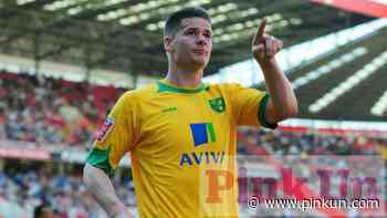 Norwich City: New roles for Michael Nelson at Hartlepool - PinkUn