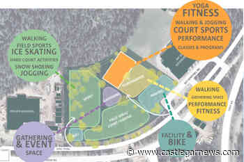 New survey asks for direction on future rec facility near Nelson, Castlegar - Castlegar News