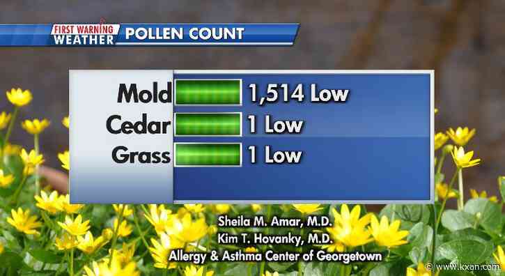 Cedar fever season officially returns to Central Texas