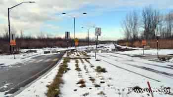 A Montreal suburb halted road construction to protect an endangered frog, but advocates want damage undone