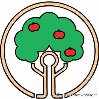 1 in 3 COVID-19 cases in Renfrew County and District in the 18 to 40 age group - renfrewtoday.ca