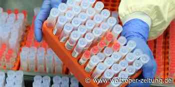 Coronavirus: Sieben Neuinfektionen in Waltrop gemeldet - Waltroper Zeitung