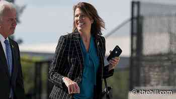 House Democrats call on leaders to pass supply chain legislation