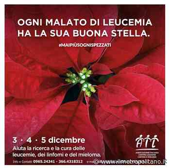 Reggio Calabria. Le stelle di Natale dell'AIL tornano a colorare le piazze - Ilmetropolitano.it - ilMetropolitano.it