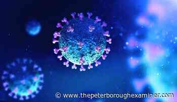 New COVID-19 cases at St. Catherine School and Adam Scott Intermediate School in Peterborough - ThePeterboroughExaminer.com