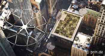 Volocopter aus Bruchsal soll Flugtaxis für Neom in Saudi-Arabien liefern - BNN - Badische Neueste Nachrichten