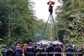 RCMP say logging protesters assaulted officers at Fairy Creek camp – Comox Valley Record - Comox Valley Record