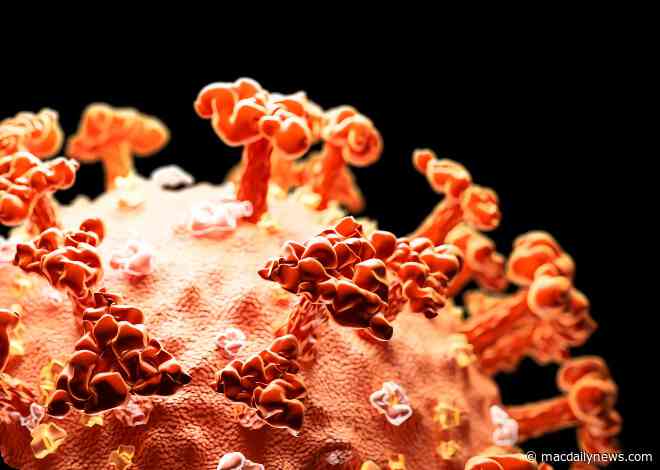 Stocks tank as CDC confirms first case of omicron COVID variant in the U.S.