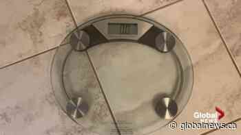 Family Matters: weight and body image language matters