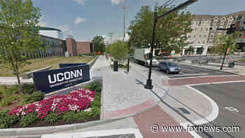 Connecticut university asks physical therapy professor applicants to advocate for 'anti-racist policies' - Fox News