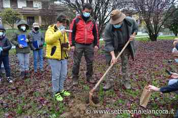 Bistagno, scuola Primaria e Carabinieri Forestali di Acqui hanno celebrato la giornata nazionale dell’albero - L'Ancora