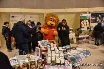 Acqui e Sapori culminerà con il tartufo - L'Ancora