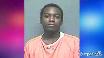 Dillon man charged in killing of 2 Robeson County women, sheriff says - wpde.com