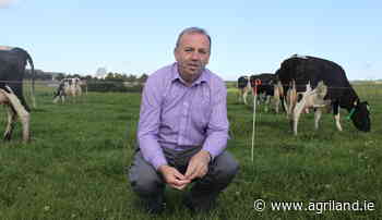 Dillon appointed as director of research at Teagasc - Agriland.ie